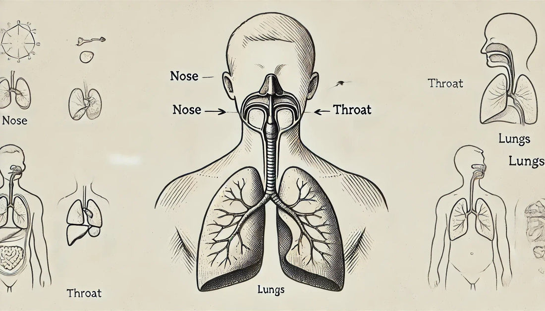 Mouth Taping and Breathing Efficiency: How Nasal Breathing Enhances Your Health - Titan Recovery