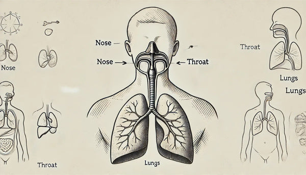 Mouth Taping and Breathing Efficiency: How Nasal Breathing Enhances Your Health